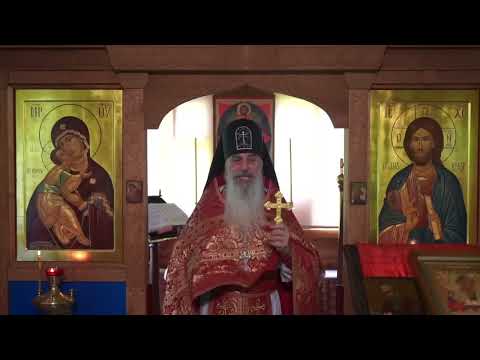 Видео: Причины ДУХОВНОЙ СЛЕПОТЫ! #СхиигуменГАВРИИЛ (Виноградов-Лакербая) #КавказскийскитВалаама
