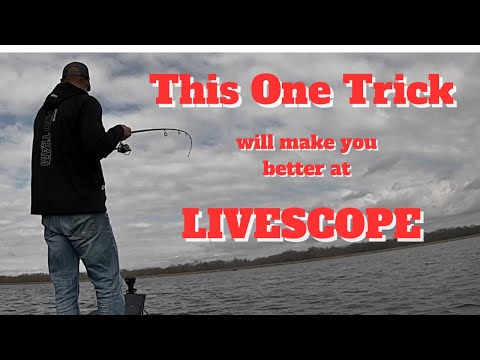 Видео: ОДИН СПОСОБ НАУЧИТЬСЯ БЫСТРЕЕ РАБОТАТЬ В РЕЖИМЕ LIVESCOPE!!!