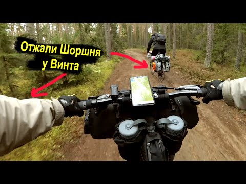 Видео: Еду быстро по лесу на ТУРИНГ ХВЗ ~ С комментариями!