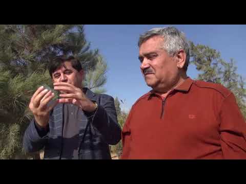 Видео: ДАР ОРОМГОҲИ МАҲЗУН...