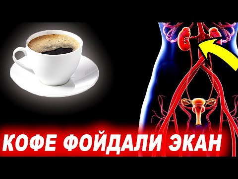 Видео: ХАР КУН КОФЕ ИЧСА 40 ЙИЛДАН КЕЙИН НИМА БЎЛИШИНИ БИЛАСИЗМИ?