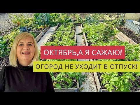 Видео: ЧТО РАСТЕТ В ОКТЯБРЕ!😍🥬🌶️🥦ФЕРМЕРСКИЙ ДВОР,РАССАДА И МОЙ ВЫХОДНОЙ В ШВЕЙЦАРИИ!💃🕺🔥Поем караоке!🎤