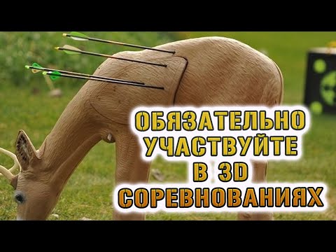 Видео: Обязательно участвуйте в 3D соревнованиях