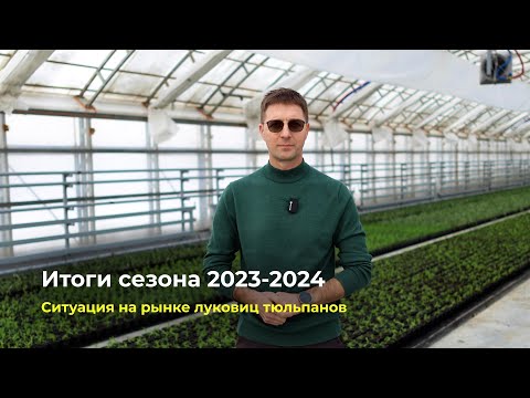 Видео: Итоги выгонки 2023-2024 | Ситуация на рынке луковиц тюльпанов