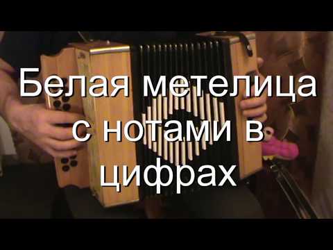 Видео: Белая метелица с нотами в цифрах