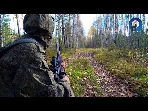 Видео: В КРАЮ ТАЁЖНОМ: ОХОТА НА РЯБЧИКОВ. ПОЗОРНОЕ БЕГСТВО. БОРОВАЯ 2024