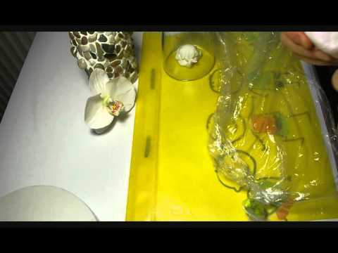 Видео: Орхидея Фаленопсис, Мастер Класс от Риты часть 1