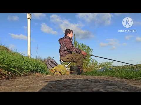 Видео: Рыбалка. Канал имени Москвы, Жостово.
