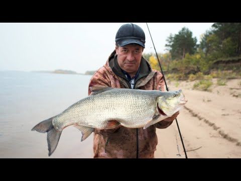 Видео: 41. Победитель конкурса! Угадай вес ЖЕРЕХА!