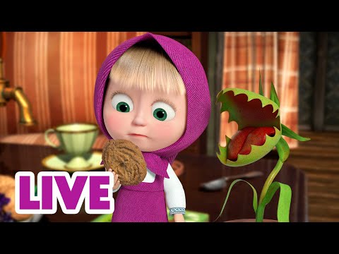 Видео: 🔴 ПРЯМОЙ ЭФИР! LIVE Маша и Медведь 👱‍♀️🐻 Пауза на обед! 🍲 🥘