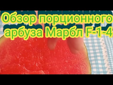 Видео: Обзор порционного арбуза Марбл F1-4