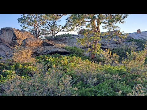 Видео: Отдых в Баянауле.  Турбаза Жалын. Заповедник Жасыбай.