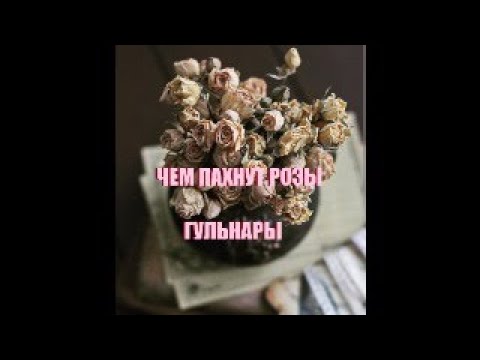 Видео: ЧЕМ ПАХНУТ РОЗЫ ГУЛЬНАРЫ ДЛЯ БИШИМБАЕВА? #бишимбаев #судказахстан #гульнара #салтанат