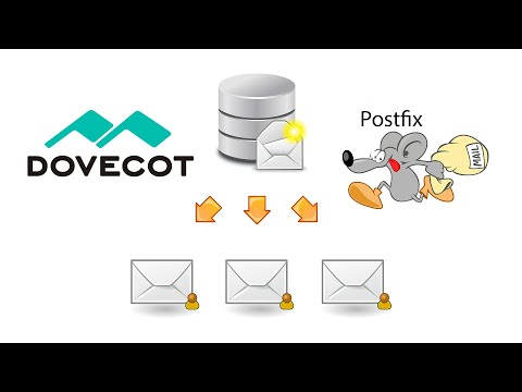 Видео: Установка и настройка Postfix и Dovecot на Debian 12.