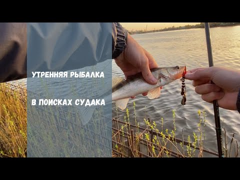 Видео: В поисках весеннего судака | Ловля на мандулу | Весенний судак 2025