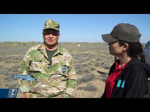 Видео: Видеоохота на джейранов, горячие источники и пески Кызылкума | Большие города