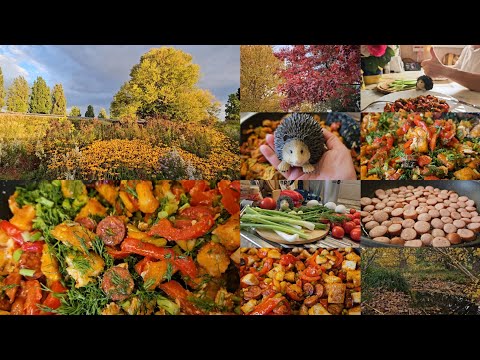 Видео: Блюдо по-венгерски от Аллочки🌶🧇🍅🧄🥚🥘 🦔😻🐇