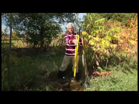 Видео: Пермакультурный  сад  Собковиака  02