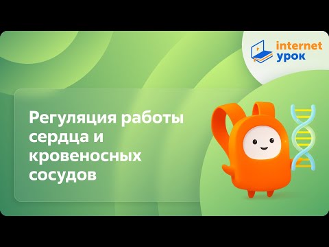 Видео: Биология 8 класс. Регуляция работы сердца и кровеносных сосудов