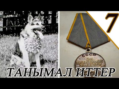 Видео: ТАРИХТАҒЫ ЕҢ ТАНЫМАЛ 7 ИТ