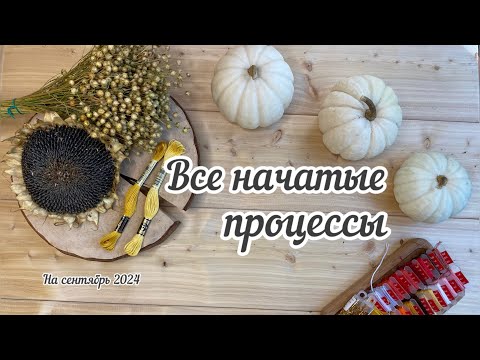 Видео: Все мои НАЧАТЫЕ ПРОЦЕССЫ🙀 #вышивка