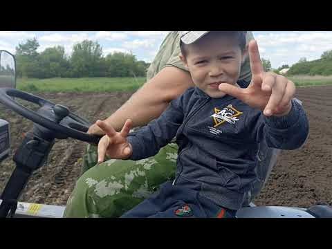 Видео: Посадка картофеля под окучники