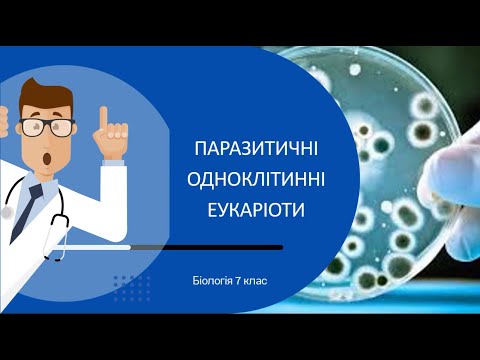 Видео: Паразитичні одноклітинні еукаріоти