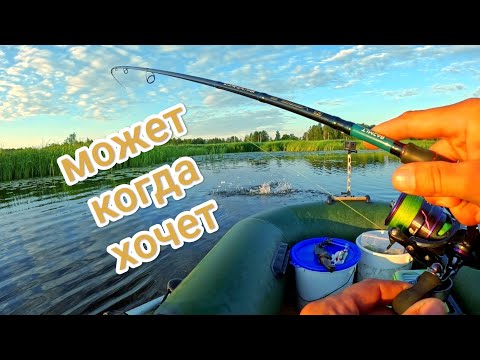 Видео: Куча эмоций от этих поклевок!!! РЫБАЛКА С НОЧЕВКОЙ!