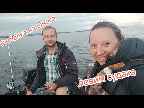 Видео: Рыбалка на Онежском озере! Ловим судака