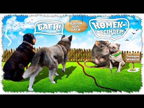 Видео: Хеппидің досын тышқандар ұрлап кетті! (GTA V)