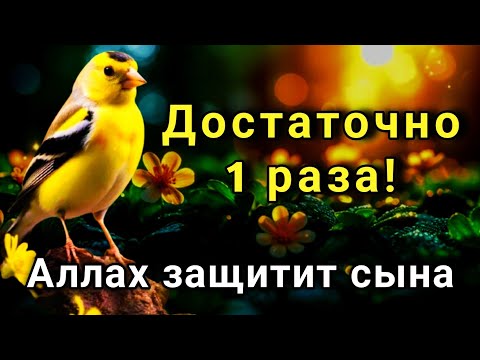 Видео: 🤲 ЭТО САМАЯ СИЛЬНАЯ МОЛИТВА ЗА СЫНА!СПАСЁТ ОТ БЕДЫ ЗЛЫХ ЛЮДЕЙ ПОРЧИ СГЛАЗА СИЛЬНЫЙ ОБЕРЕГ! 🔑✨💯
