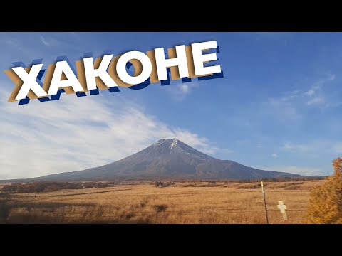 Видео: Хаконе