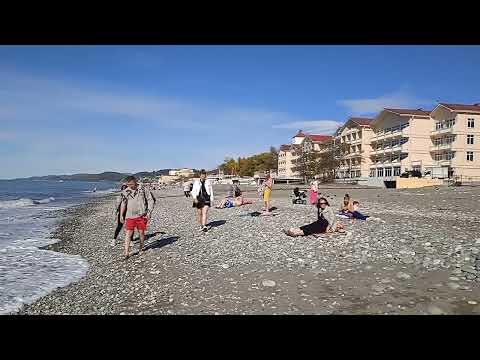 Видео: 6 ноября 2025 г.