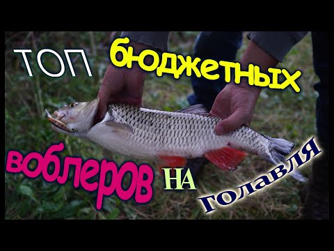 Видео: ТОП бюджетных воблеров на ГОЛАВЛЯ