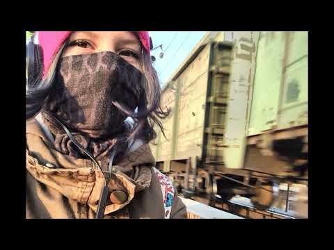 Видео: Дмитрий Быков. «Анна Каренина как политический роман». 17.06.2013.