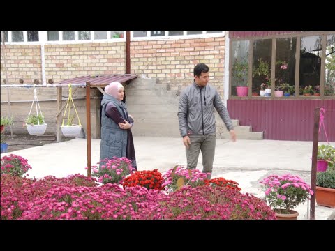 Видео: Көз жоосун алган гүлдөр. Айымдар үчүн пайдалуу киреше. Борбаш айылы Менин айылым Ноокат