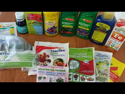 Видео: УДОБРЕНИЯ для 🌺 Бегоний, 🌺Глоксиний и Экзотики