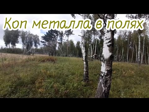 Видео: Коп металла в полях...