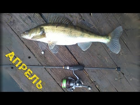 Видео: Весенняя рыбалка по осенней погоде с 610-ым Limber Tip SS (Часть 1 - основная).