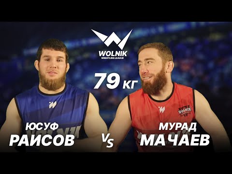 Видео: Юсуф Раисов vs Мурад Мачаев | WOLNIK 7