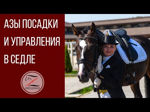 Видео: Азы посадки и управления лошадью в седле