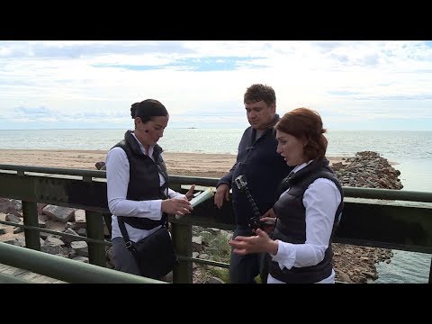 Видео: Зона особого внимания. Пляжи. Выпуск 15