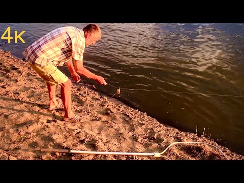 Видео: Рыбалка на закидушки с макухой в Ахтубе. 2022.