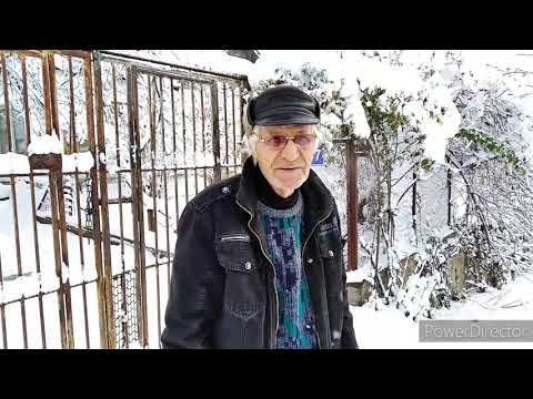 Видео: Первый снег.