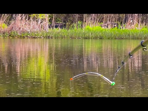 Видео: 🇺🇦ПЕРВЫЙ ВЕСЕННИЙ КЛЁВ КАРАСЯ на боковой кивок / Незабываемая  рыбалка на карася на летнюю мормышку