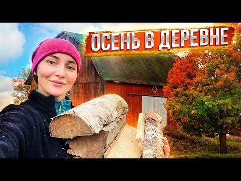 Видео: Стройка на ферме. В ожидании опороса | Молодая Ферма