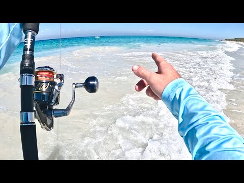 Видео: ГРАНДИОЗНАЯ встреча во время пляжной рыбалки! Такое бывает раз в жизни…