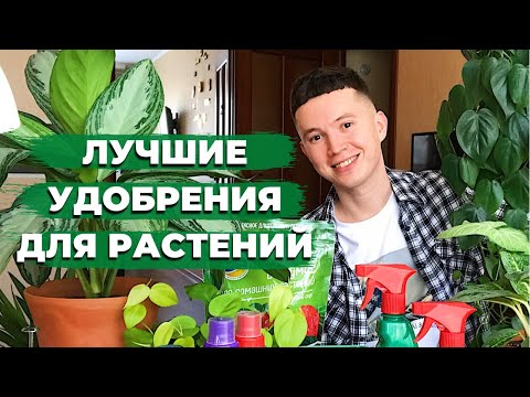 Видео: Удобрения для Комнатных Растений » Мои Фавориты