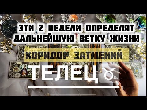 Видео: Телец ♉️ 8 - 21 сентября 2025! Таро и Астропрогноз на коридор затмений 
