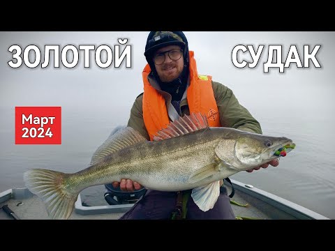 Видео: Золотой СУДАК! Рыбалка с гостем. Паноптикс, Panoptix livescope.